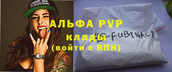 спиды Дмитриев