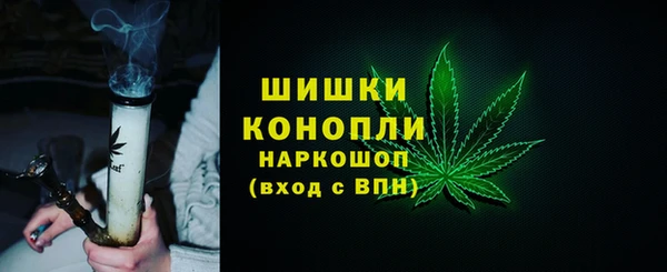 спиды Дмитриев