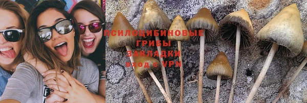 прущая мука Дмитров