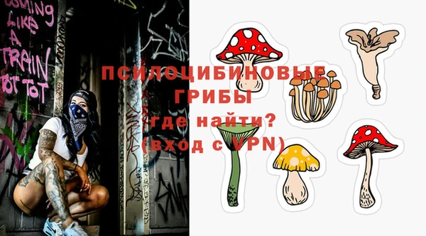 прущая мука Дмитров